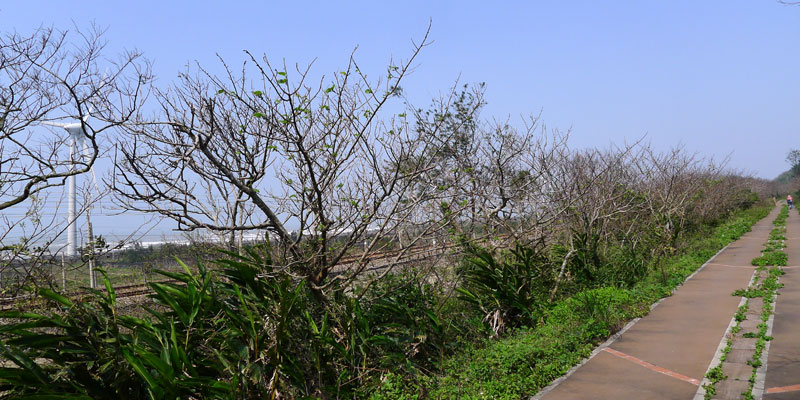 Abzweigung Weisse Dünen