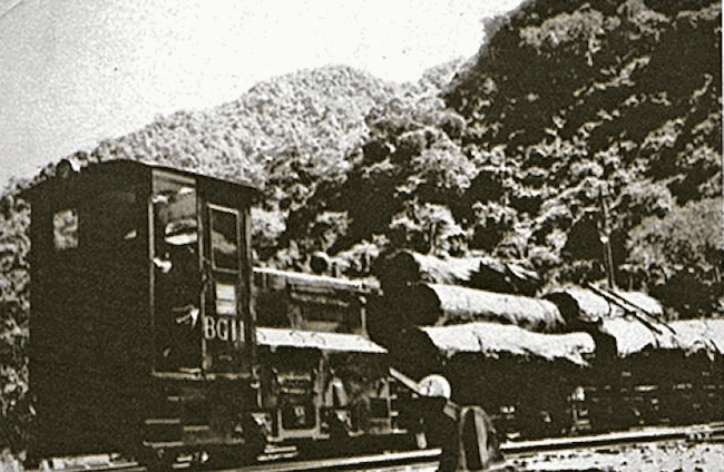 八仙山的運材機關車, Forestry Steam Engine