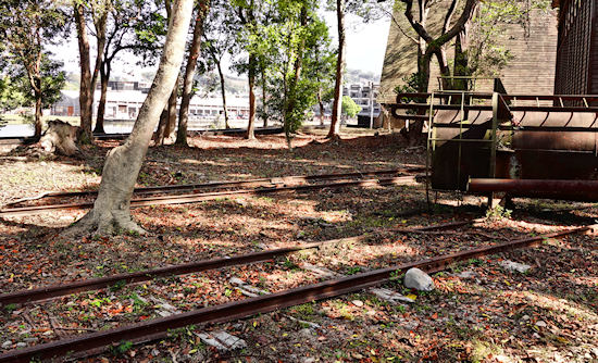 DongShi Forestry Cultural Park 東勢林業文化園區