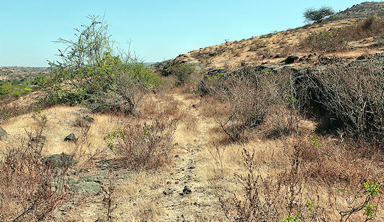 Pune Miraj MG railway Embankment in January