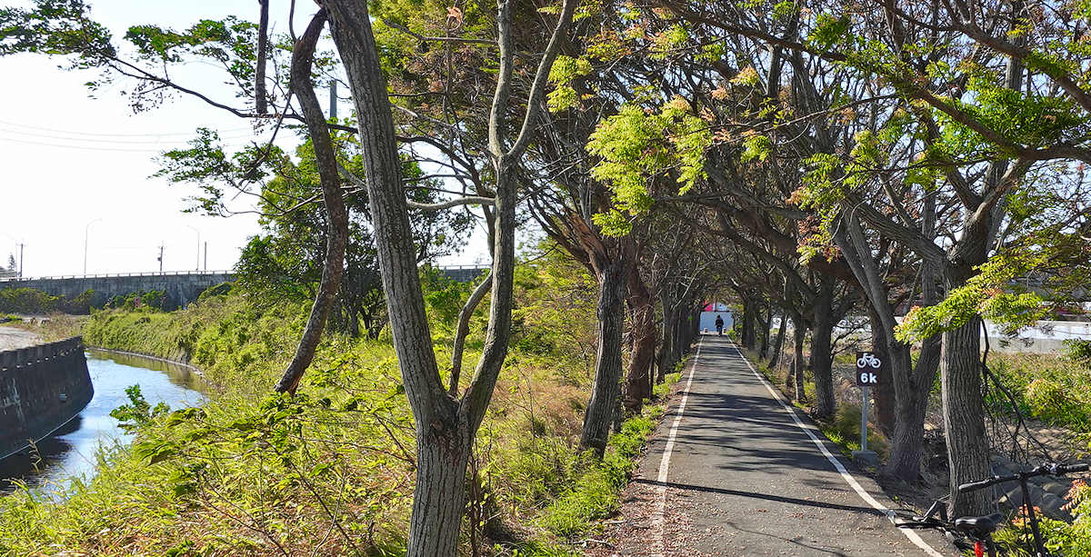 Unter der Taiwan Fernstrasse 19