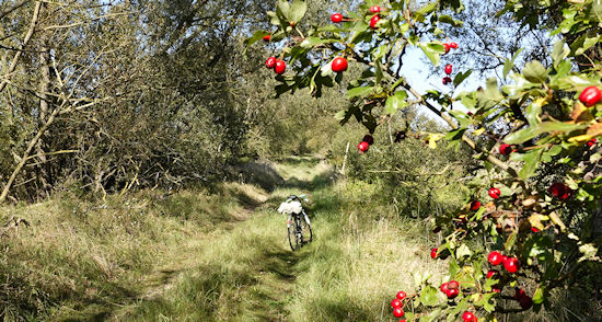 Embankment between Dömitz and Kaliss
