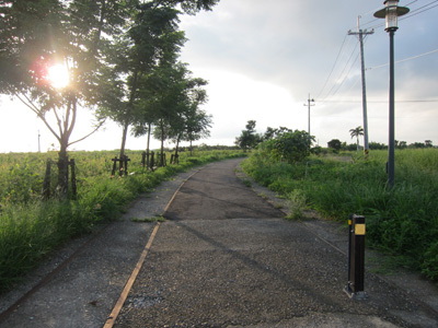 糖鐵綠廊道