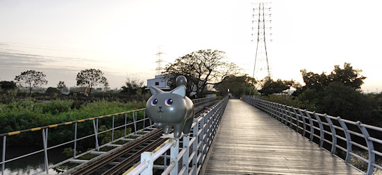  Bridge over the ZhuoShui Creek with chubby Cat